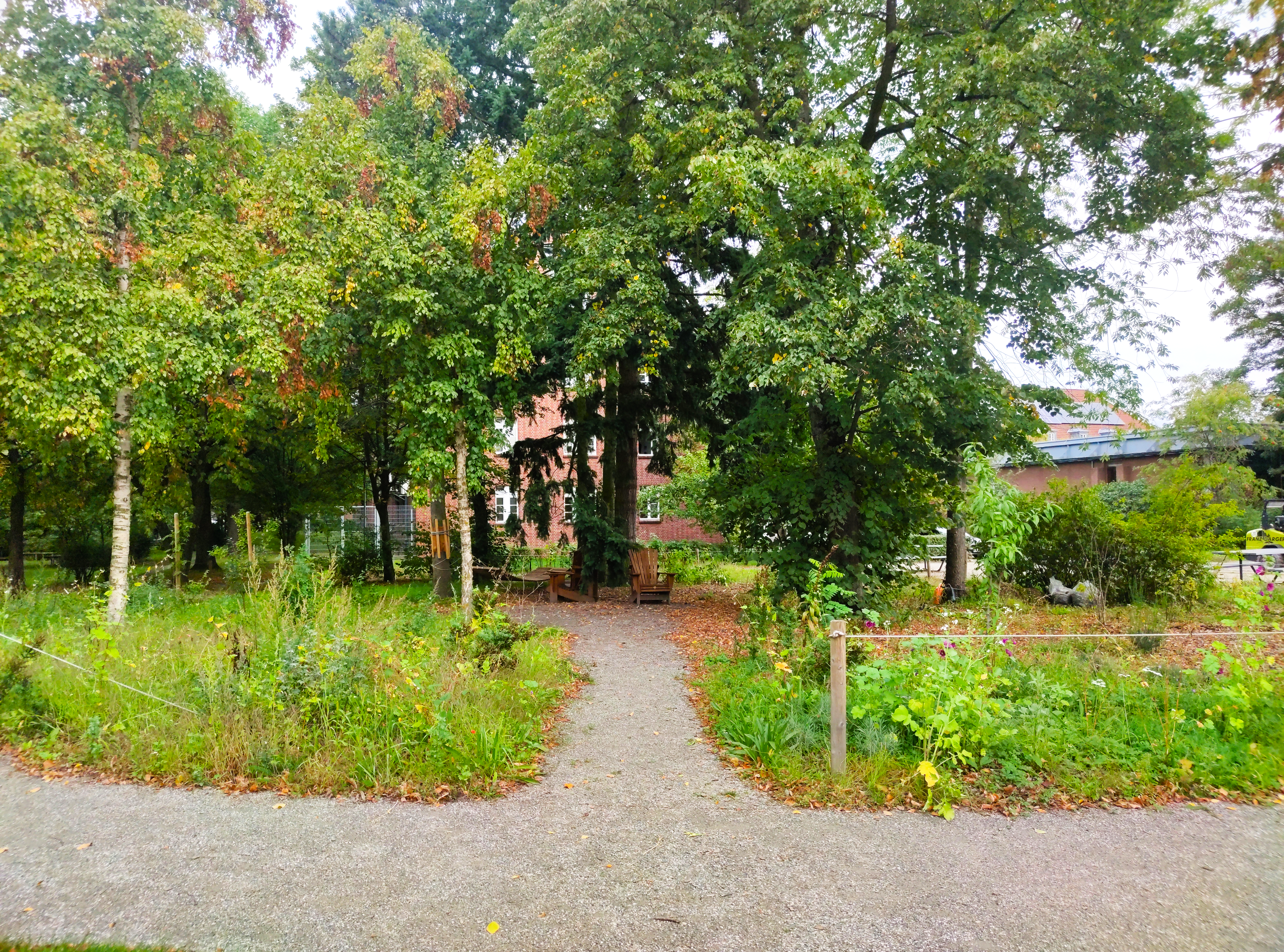 Leuphana Food Forest